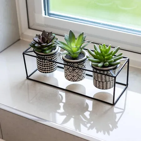 Poppy Cottage, Cononley, Nr Skipton 度假居 Cononley